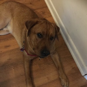 Fundraising Page: Ethan Hillenbrand